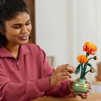 LEGO® Botanicals 10368 Krizantém (1)