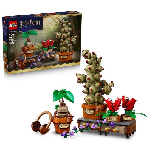 LEGO® Harry Potter™ A Roxfort™-i gyógynövénytanóra növényei készlet 76474